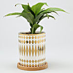 Peace Lily Plant In Abstract Print Pot With Wooden Plate