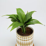 Peace Lily Plant In Abstract Print Pot With Wooden Plate