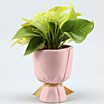 Money Plant In Glass Planter With Bow