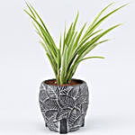 Spider Plant In Leaves Embossed Planter
