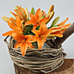 Lovely Asiatic Lilies On Wooden Log