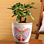 Jade Plant In Handpainted Butterfly planters