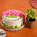 Mother's Day Special Cake & Syngonium Plant Combo