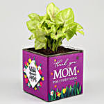 Thank U Mom Syngonium Plant & Maa Cutout Candle Hamper
