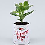 Crassula Plant In Super Mom Ceramic Planter