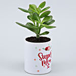 Crassula Plant In Super Mom Ceramic Planter