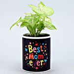 Syngonium Plant In Best Mom Ever Ceramic Planter