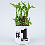 Two Layer Bamboo Plant In No 1 Mom Planter