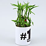 Two Layer Bamboo Plant In No 1 Mom Planter