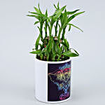 2 Layer Bamboo Plant In Beautiful Printed Planter
