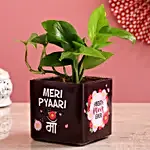 Money Plant In Pyari Ma Square Glass Vase