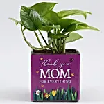 Money Plant In Thank You Mom Square Glass Vase