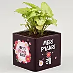 Syngonium Plant In Pyari Maa Square Glass Vase