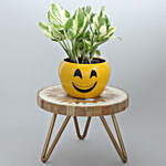 White Pothos Plant In Cute Smiley Pot With Beautiful Stand
