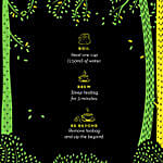 Beyondarie Wild Green Tea With Karbi Ginger and Tulsi