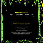 Beyondarie Wild Green Tea With Karbi Ginger and Tulsi
