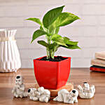 Lucky Money Plant With Baby Buddha Figurines