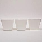 5 inches set of 3 white plastic pot