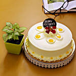 Syngonium Plant Butterscotch Cake Combo