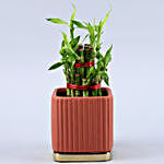 2 Layer Bamboo Plant In Mauve Gold Plate Pot