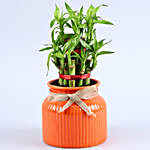2 Layer Bamboo Plant In Orange Lining Pot