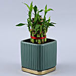 2 Layer Bamboo Plant In Teal Blue Gold Plate Pot