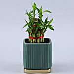 2 Layer Bamboo Plant In Teal Blue Gold Plate Pot