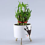 2 Layer Bamboo Plant In White Black Reindeer Pot