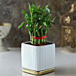 2 Layer Bamboo Plant In White Gold Plate Pot