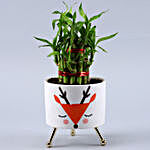2 Layer Bamboo Plant In White Orange Reindeer Pot