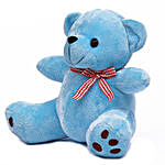 Cute & Cuddly Blue Poppy Teddy Bear