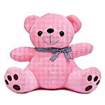 Cute & Cuddly Brown & Pink Poppy Teddy Bear Combo