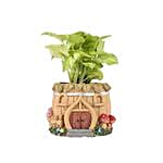 syngonium plant in multicolor resin pot a14
