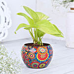 Money Plant In Colourful Rajwada Printed Pot