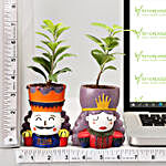 Set of 2 Ficus Compacta In King Queen Pots