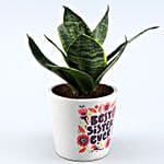 Milt Sansevieria Plant In Best Sister Ever Cute Pot