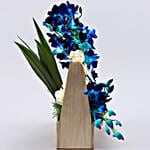Mesmerising Orchids and Carnations Arrangement