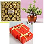Corp Hamper for Canon