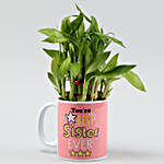 2 Layer Bamboo Plant In Best Sister Mug