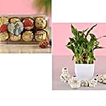 Corp Times Group Hamper