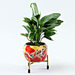 Peace Lily Plant In Floral Printed Metal Pot