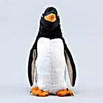 Wild Republic Black & White Gentoo Penguin Soft Toy