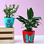 Jade & Peace Lily Plant In Lovely Hand Painted Pots