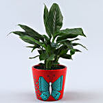 Peace Lily Plant In Leaves Butterfly Pot