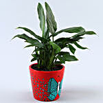 Peace Lily Plant In Leaves Butterfly Pot