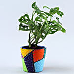 Set Of 2 Green Plants In Patch Stitch Multicoloured Pots