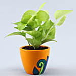 Set Of 2 Refreshing Plants In Handpainted Ceramic Pots
