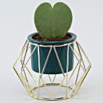 Hoya Plant Green Pot With Golden Octagon Stand