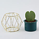 Hoya Plant Green Pot With Golden Octagon Stand