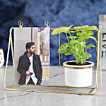 Syngonium Plant With Golden Hanging Stand & Photo Clips
